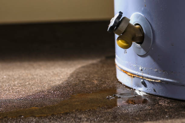 Best Basement water damage restoration  in Ferdand, IN