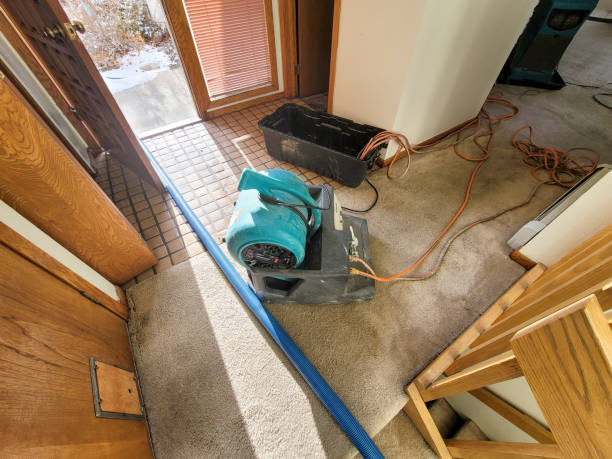 Best Fire Damage Restoration  in Ferdand, IN