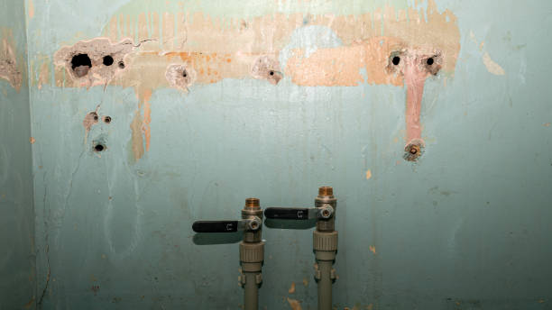 Best Water damage restoration near me  in Ferdand, IN