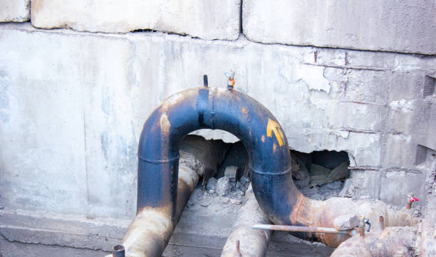 Best Water damage restoration process  in Ferdand, IN