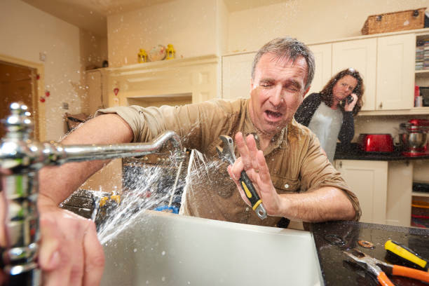Best 24-hour water damage restoration  in Ferdand, IN